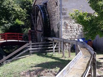 Percorso Marcia Vaudelnay - Vaudelnay - Photo