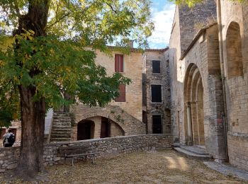 Excursión Senderismo Notre-Dame-de-Londres - le ravin des arcs a l envers depuis les marmites jusqu aux arches - Photo