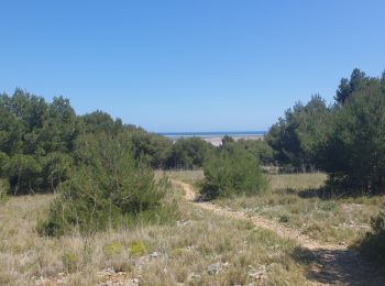 Excursión Senderismo Gruissan - gruissan port a l'île st Martin - Photo