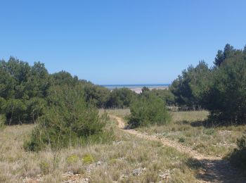 Trail Walking Gruissan - gruissan port a l'île st Martin  - Photo