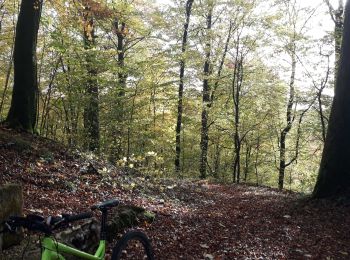 Percorso Mountainbike Musson - Willancourt Montauban VTT AE - Photo
