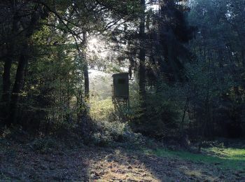 Randonnée A pied Eschau - Ortswanderweg Eschau 1 - Photo