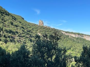 Tocht Stappen Buoux - PF-Buoux - Sivergues - Le Vallon de l'Aigue Brun - Reco - 01.07.2021 - Photo