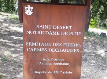 Randonnée Marche Roquebrune-sur-Argens - les hauts de Roquebrune sur Argens - Photo