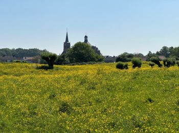 Trail Walking Sluis - Aardenburg 19 km - Photo