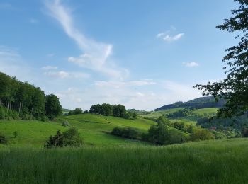 Excursión A pie Seeheim-Jugenheim - Rundwanderweg Seeheim-Jugenheim Talhof 7: Kisselsgrund-Weg - Photo