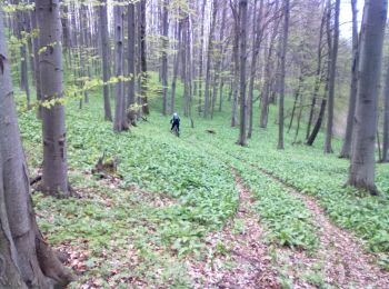 Tour Zu Fuß  - Jezerce - Nevoljaš - Anđina koliba - Vojna cesta - Photo