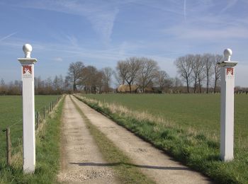 Tour Zu Fuß Houten - Rietplas & Schonauwen - Photo