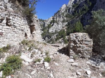 Tocht Stappen Ollioules - Grottes St Martin 1et 2 + Christianisée - Photo