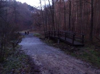 Trail On foot Úštěk - Hrádecký okruh - Photo