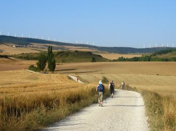 Trail Walking Pamplona - Camino Francés - Etp4 - Pamplona - Puente la Reina - Photo