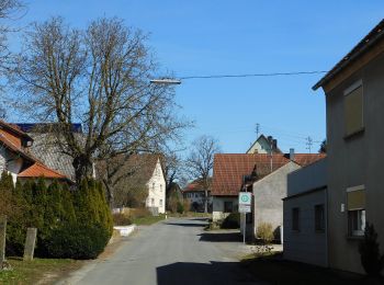 Trail On foot Wonsees - Schirradorf Rundwanderweg 1 - Photo