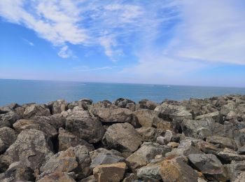 Tour Wandern L'Épine - Noirmoutier  - Photo