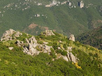 Tour Zu Fuß Durgali/Dorgali - Sa Portiscra-Cala Luna - Photo