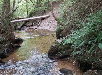 Excursión Senderismo Châtel-Guyon - cascade de l'écureuil ,vallée du sans soucis, château de Chazeron  - Photo