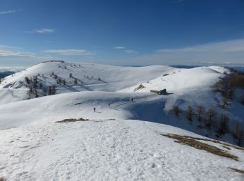 Tocht Sneeuwschoenen Moulinet - authion - Photo