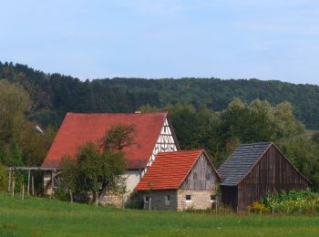 Excursión A pie Ebermannstadt - Planetenweg Feuerstein - Photo