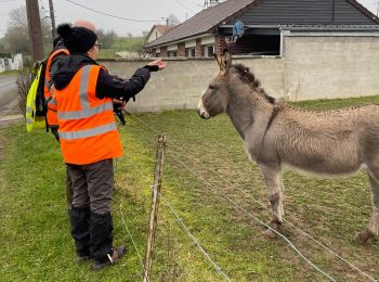 Tocht Noords wandelen Démuin - Demuin somme - Photo