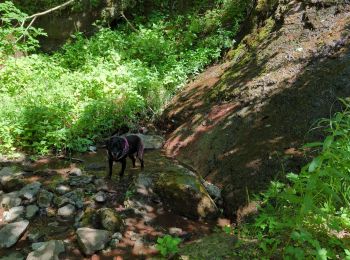 Randonnée Marche Beuil - balcon sur les gorges du cians - Photo