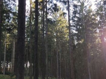 Trail Walking Gouvy - ciereux - Photo