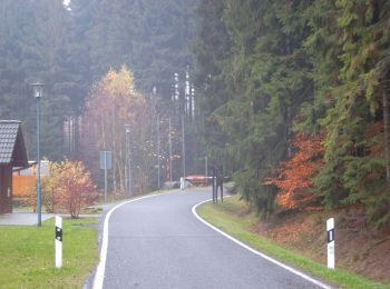 Tocht Te voet Oybin - LG-Lückendorf-Rundweg (Grüner Punkt) - Photo