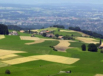 Percorso A piedi Wald (BE) - Englisberg - Hofmatt - Photo