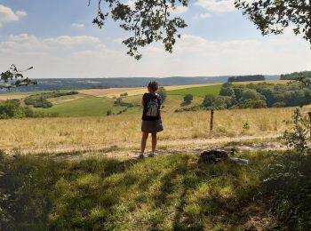 Tour Wandern Bennecourt - Rando Temps des Cerises - Photo