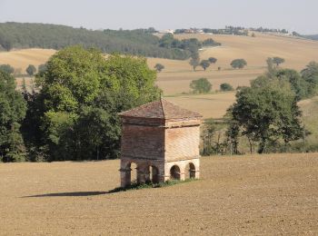 Percorso A piedi Odars - Boucle de la Marcaissonne - Photo