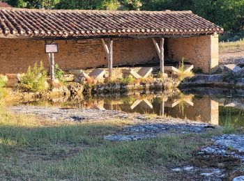 Randonnée Marche Varaire - 9 - Varaire : Bach  - Photo