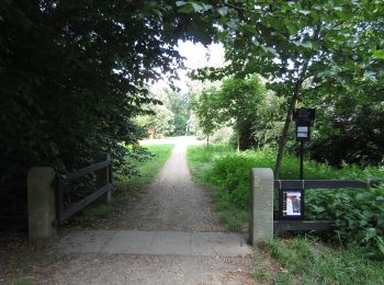 Trail On foot Hengelo - Wandelnetwerk Twente - blauwe route - Photo