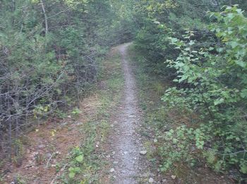 Tocht Stappen Saint-André-d'Embrun - Boucle lac de Siguret et Chapelle Saint Roch - Photo