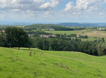 Tocht Stappen Trézioux - La ronde des Grüns de Trézioux - Photo