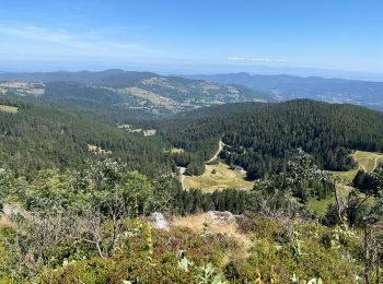 Tour Wandern Sulzern - Tanet-Gazon du Fain-Tanet - Photo