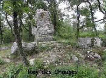 Excursión Senderismo Antonne-et-Trigonant - Boucle du Roi des Chauzes - Photo