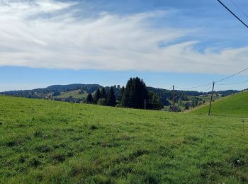 Tour Wandern Septmoncel les Molunes - GTJ 8 Lajoux, Le Manon / La Pesse - Photo