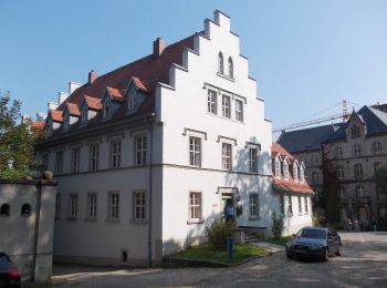 Tour Zu Fuß Naumburg (Saale) - Bismarckturm Weg - Photo