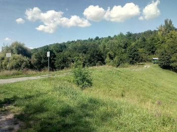 Tocht Te voet Bruchsal - BR - 13 Untergrombach Ungeheuerklamm Weierle - Photo