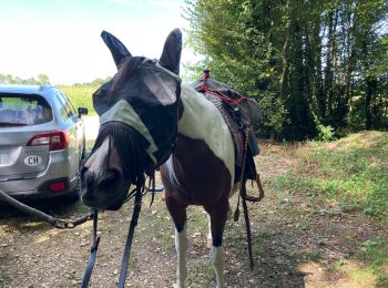 Tour Reiten Larnaud - Larnaud-Fontainebrux - Photo