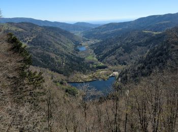 Randonnée Marche Sewen - balade lac d'alfeld 2 - Photo