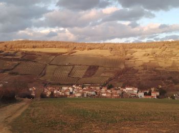 Percorso Marcia Boudes - la vallée des Saints - Photo