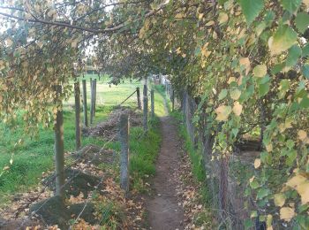 Randonnée Marche Riemst - autour de Kanne via montagne St Pierre et les vignes - Photo