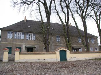 Tour Zu Fuß Halbe - Rundwanderweg Weinberg - Photo