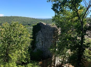 Randonnée Marche La Roque-sur-Cèze - Cascades du Sautadet, maquis et village de Roque-sur-Cèze  - Photo