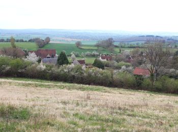 Randonnée Marche Nevers - montenoison  - Photo