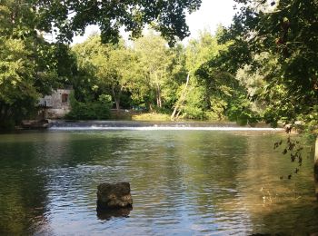 Randonnée V.T.C. Crécy-la-Chapelle - Crécy-la-Chapelle - Photo