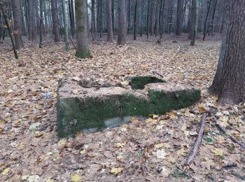 Tour Zu Fuß Jettingen-Scheppach - Gedenkweg Kuno - Photo