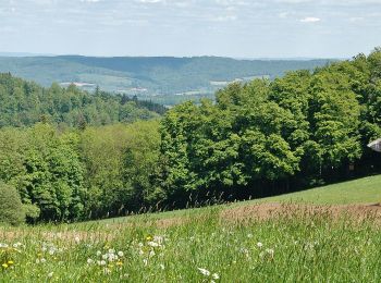 Percorso A piedi Reichelsheim (Odenwald) - Rundwanderweg Reichelsheim Freiheit 5: Germannshöhen-Weg - Photo