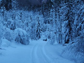 Trail Snowshoes École - Bauges 2021 : le Carlet - Chalets d'Orgeval.ori - Photo