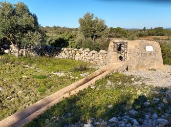 Excursión Senderismo Caves - Caves sentier des garrigues  - Photo