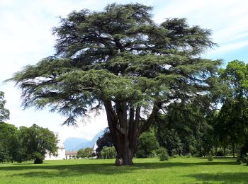 Excursión Senderismo Sassenage - Tour de Combe Chaude + parc du château de Sassenage - Photo